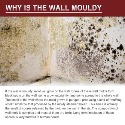 Mold killer spray. Multipurpose mold killer spray.